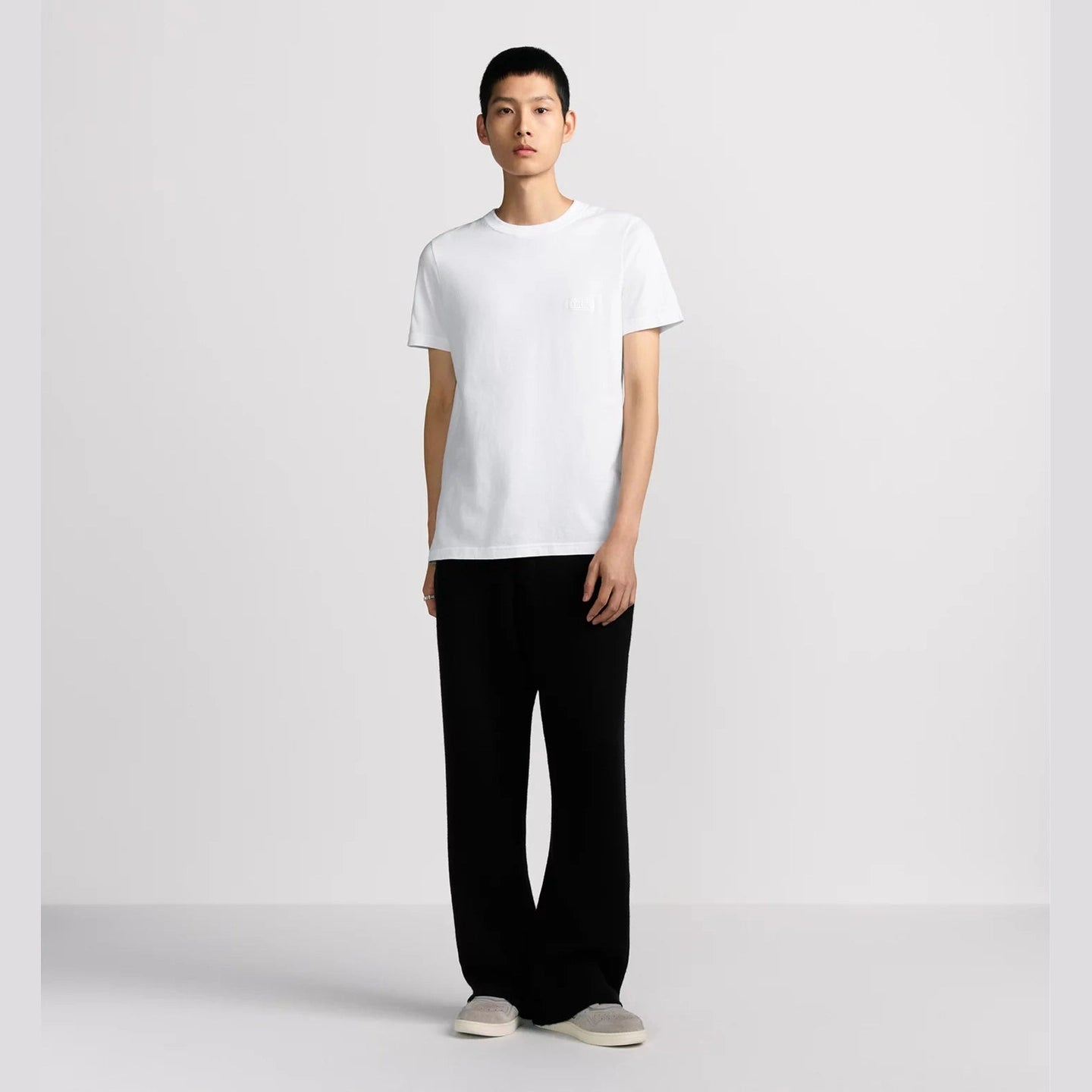 T-Shirt Christian Dior - Icon - Coton - Coupe Regular - Blanc
