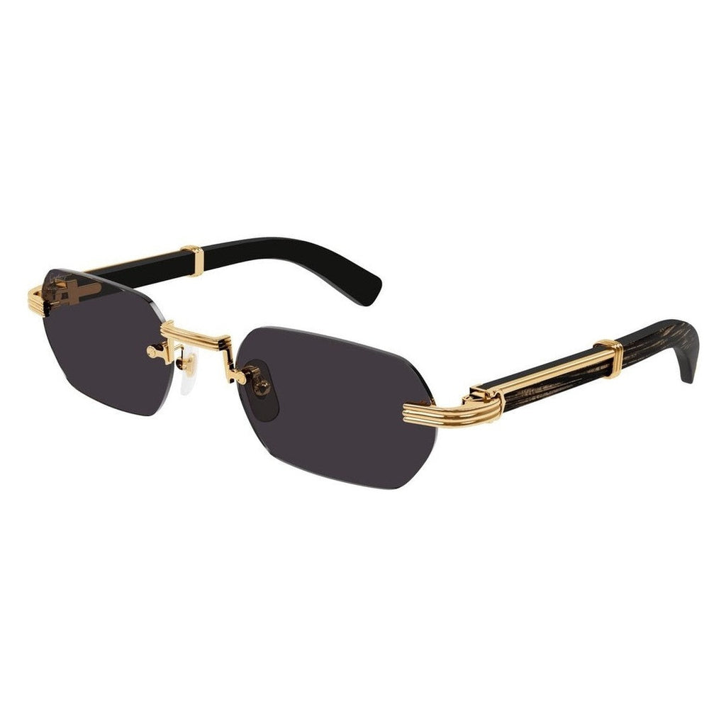 Lunettes Cartier - CT0362S-001