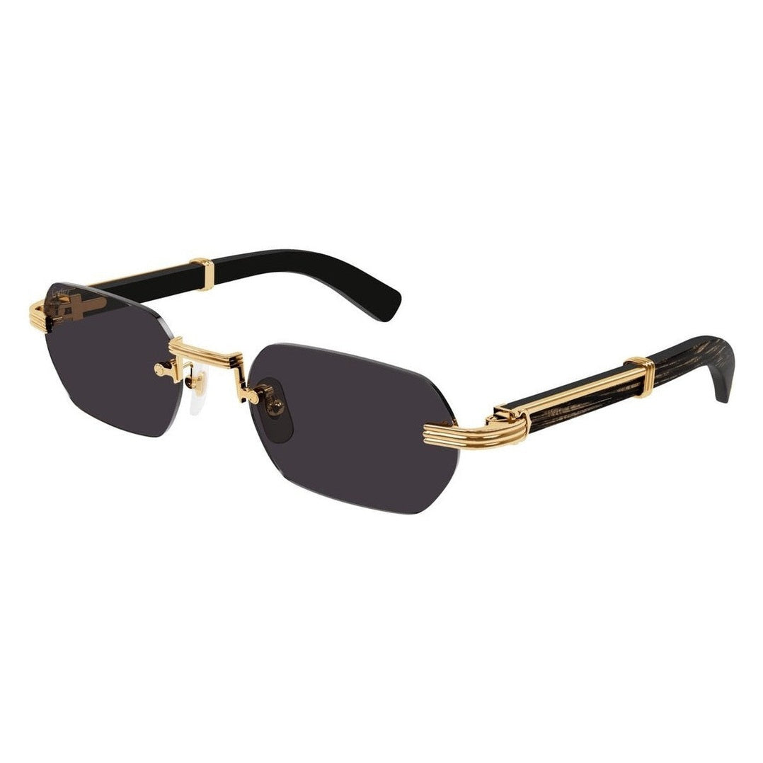 Lunettes Cartier - CT0362S-001