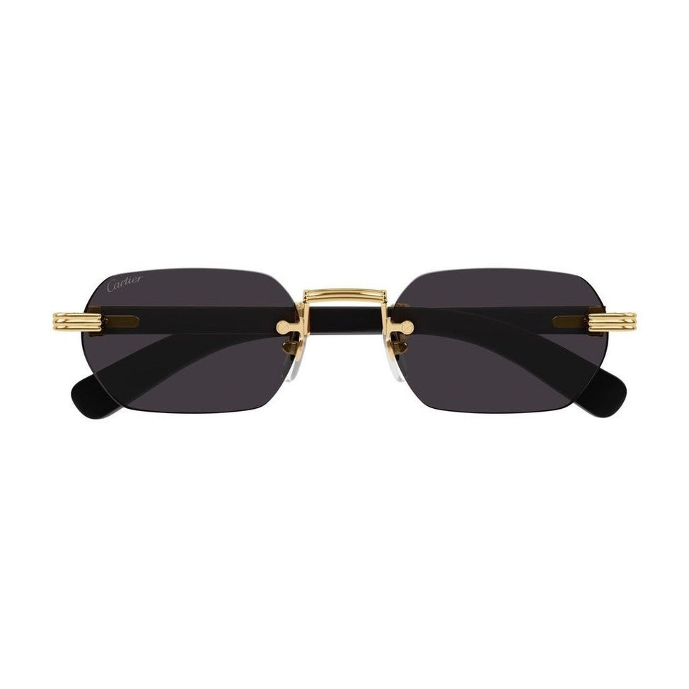Lunettes Cartier - CT0362S-001
